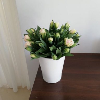 Osada Shalima YOGA&SPA