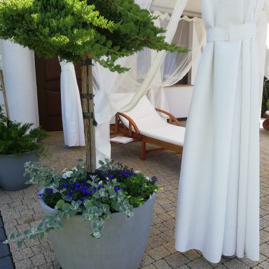 Osada Shalima YOGA&SPA