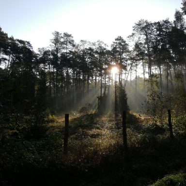 Osada Shalima YOGA&SPA