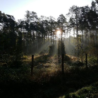 Osada Shalima YOGA&SPA