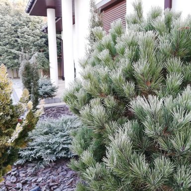 Osada Shalima YOGA&SPA