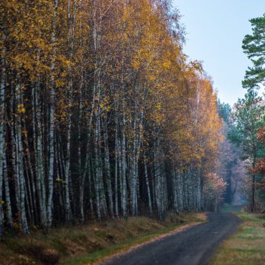 Osada Shalima YOGA&SPA