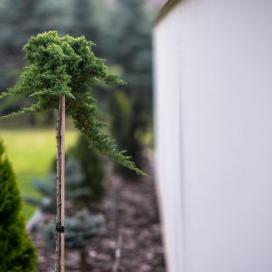 Osada Shalima YOGA&SPA