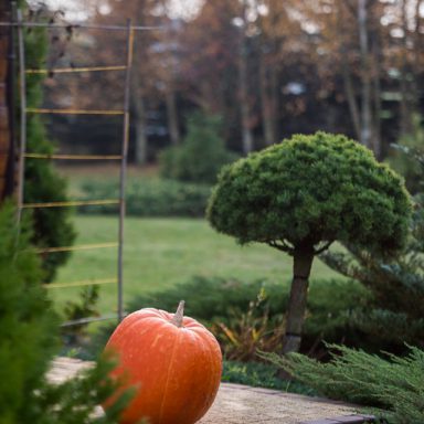 Osada Shalima YOGA&SPA