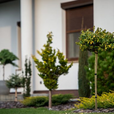 Osada Shalima YOGA&SPA