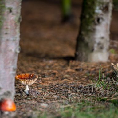 Osada Shalima YOGA&SPA