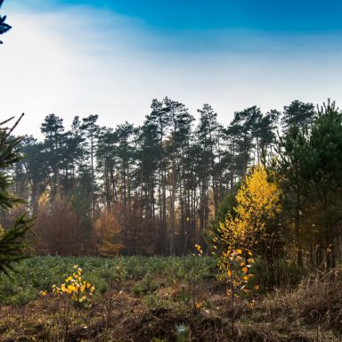 Osada Shalima YOGA&SPA