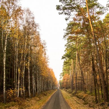 Osada Shalima YOGA&SPA