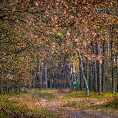 Osada Shalima YOGA&SPA