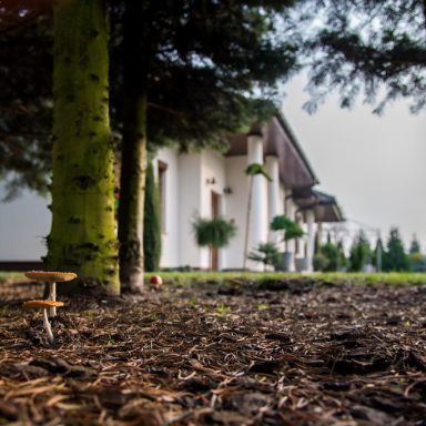 Osada Shalima YOGA&SPA