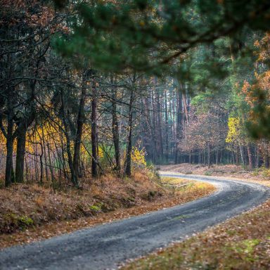 Osada Shalima YOGA&SPA